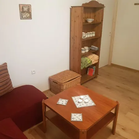 Hrncirna Apartment *
